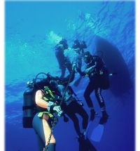 img01_B.jpg (9026 byte)